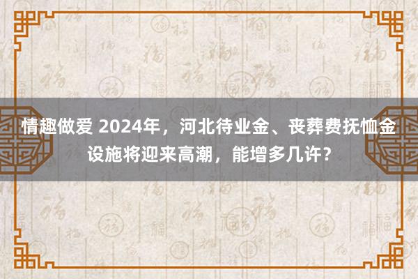 情趣做爱 2024年，河北待业金、丧葬费抚恤金设施将迎来高潮，能增多几许？