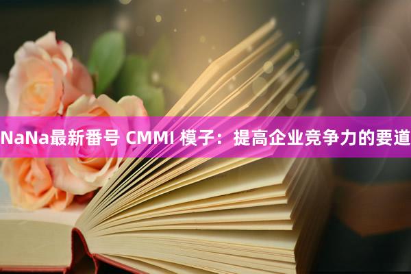 NaNa最新番号 CMMI 模子：提高企业竞争力的要道