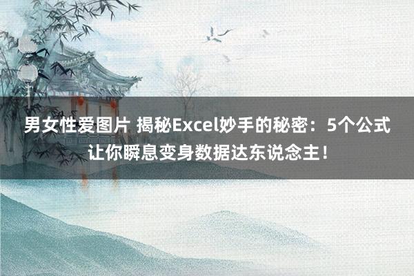 男女性爱图片 揭秘Excel妙手的秘密：5个公式让你瞬息变身数据达东说念主！