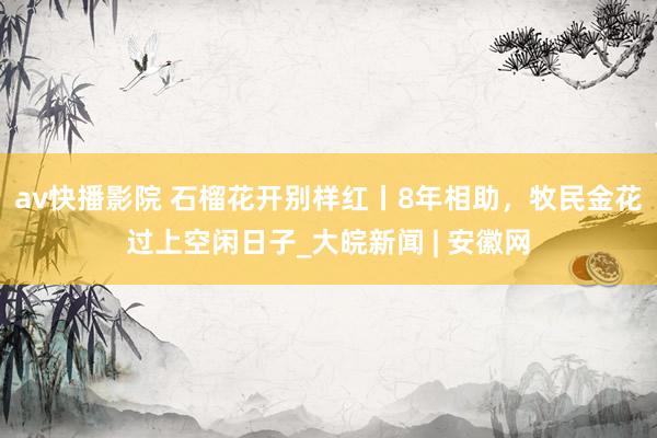 av快播影院 石榴花开别样红丨8年相助，牧民金花过上空闲日子_大皖新闻 | 安徽网