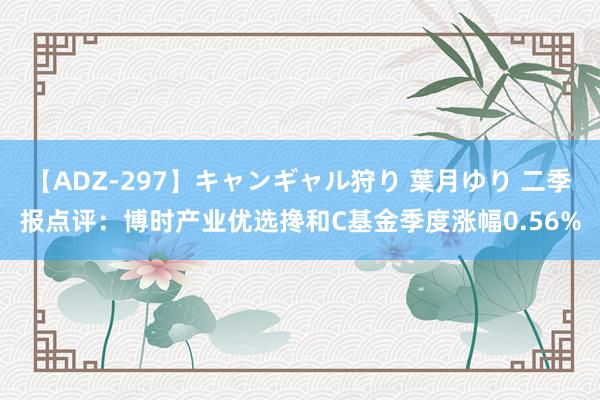 【ADZ-297】キャンギャル狩り 葉月ゆり 二季报点评：博时产业优选搀和C基金季度涨幅0.56%