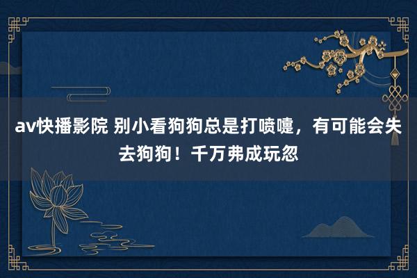 av快播影院 别小看狗狗总是打喷嚏，有可能会失去狗狗！千万弗成玩忽