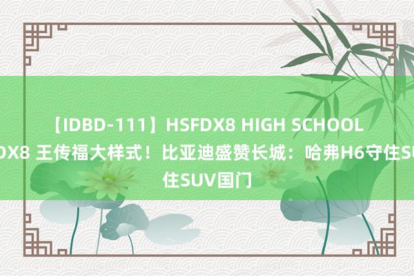 【IDBD-111】HSFDX8 HIGH SCHOOL FUCK DX8 王传福大样式！比亚迪盛赞长城：哈弗H6守住SUV国门