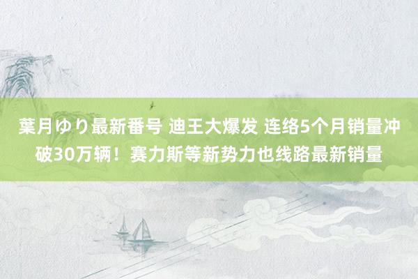 葉月ゆり最新番号 迪王大爆发 连络5个月销量冲破30万辆！赛力斯等新势力也线路最新销量