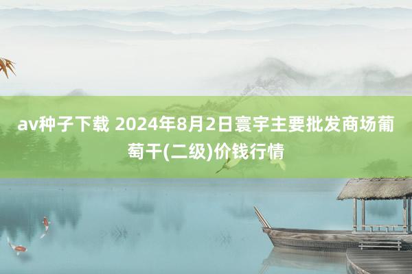 av种子下载 2024年8月2日寰宇主要批发商场葡萄干(二级)价钱行情