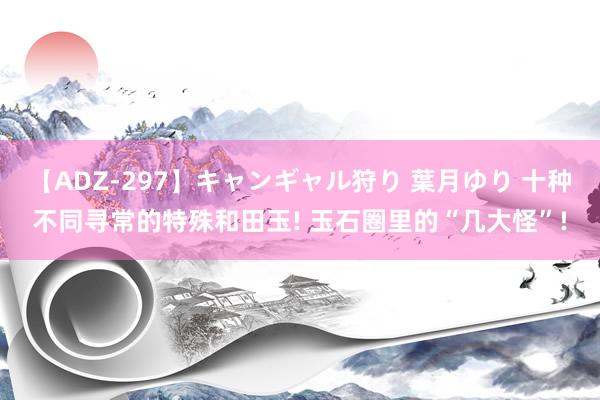 【ADZ-297】キャンギャル狩り 葉月ゆり 十种不同寻常的特殊和田玉! 玉石圈里的“几大怪”!