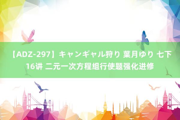 【ADZ-297】キャンギャル狩り 葉月ゆり 七下16讲 二元一次方程组行使题强化进修