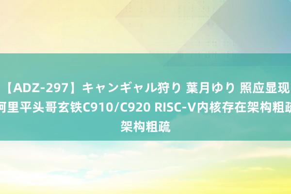 【ADZ-297】キャンギャル狩り 葉月ゆり 照应显现阿里平头哥玄铁C910/C920 RISC-V内核存在架构粗疏