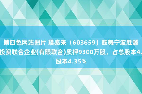 第四色网站图片 璞泰来（603659）鼓舞宁波胜越创业投资联合企业(有限联合)质押9300万股，占总股本4.35%