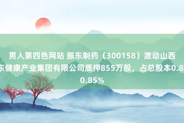 男人第四色网站 振东制药（300158）激动山西振东健康产业集团有限公司质押855万股，占总股本0.85%