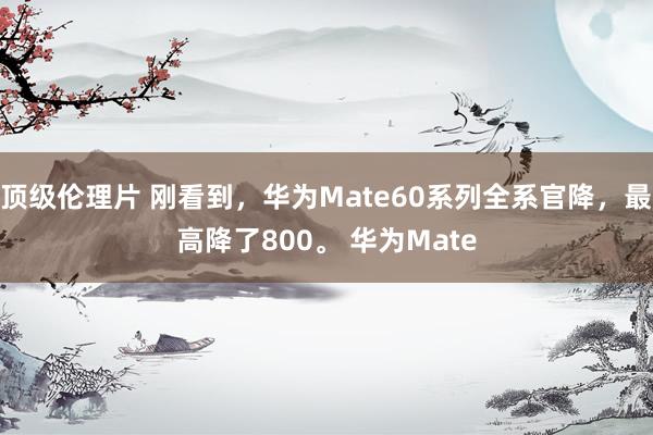 顶级伦理片 刚看到，华为Mate60系列全系官降，最高降了800。 华为Mate