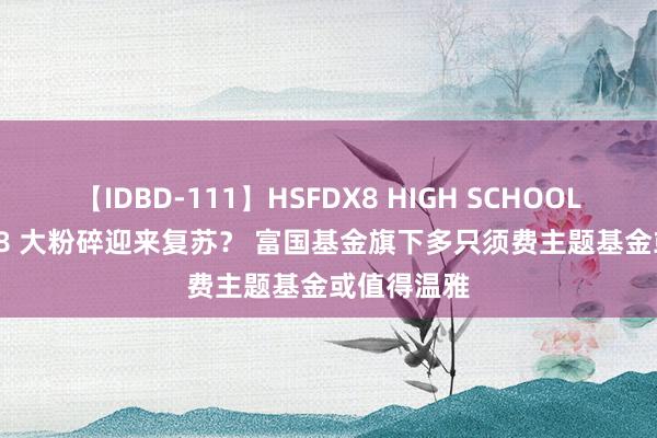 【IDBD-111】HSFDX8 HIGH SCHOOL FUCK DX8 大粉碎迎来复苏？ 富国基金旗下多只须费主题基金或值得温雅