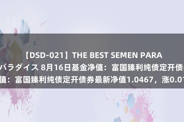 【DSD-021】THE BEST SEMEN PARADISE 美女12人とザーメンパラダイス 8月16日基金净值：富国臻利纯债定开债券最新净值1.0467，涨0.01%