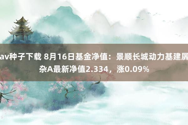 av种子下载 8月16日基金净值：景顺长城动力基建羼杂A最新净值2.334，涨0.09%