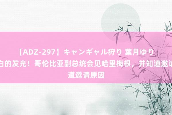 【ADZ-297】キャンギャル狩り 葉月ゆり 梅根白的发光！哥伦比亚副总统会见哈里梅根，并知道邀请原因