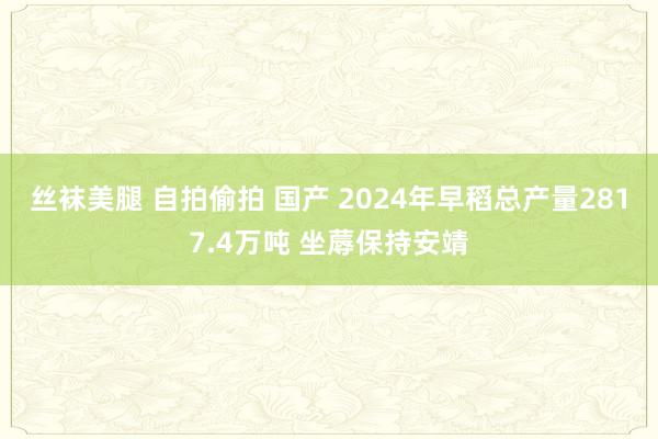 丝袜美腿 自拍偷拍 国产 2024年早稻总产量2817.4万吨 坐蓐保持安靖