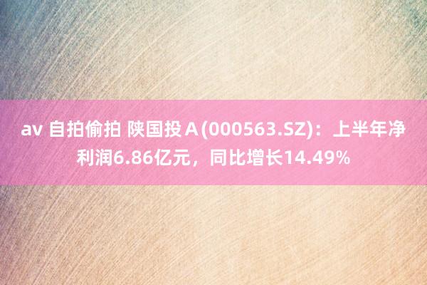 av 自拍偷拍 陕国投Ａ(000563.SZ)：上半年净利润6.86亿元，同比增长14.49%