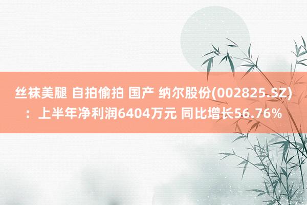 丝袜美腿 自拍偷拍 国产 纳尔股份(002825.SZ)：上半年净利润6404万元 同比增长56.76%