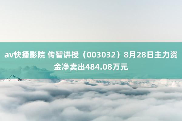 av快播影院 传智讲授（003032）8月28日主力资金净卖出484.08万元