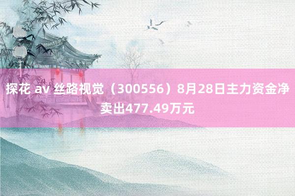 探花 av 丝路视觉（300556）8月28日主力资金净卖出477.49万元