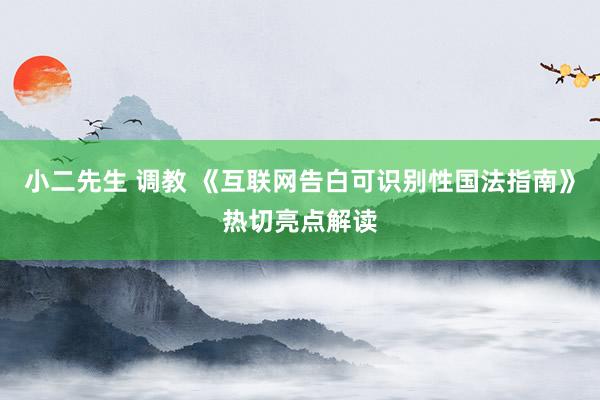 小二先生 调教 《互联网告白可识别性国法指南》热切亮点解读