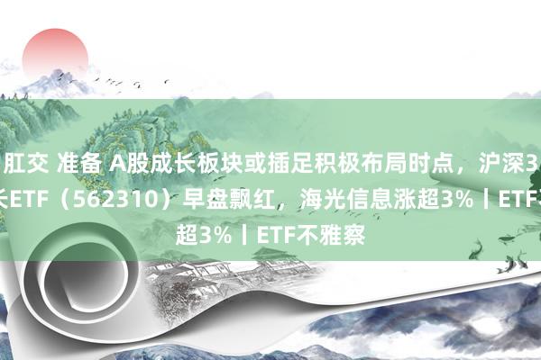 肛交 准备 A股成长板块或插足积极布局时点，沪深300成长ETF（562310）早盘飘红，海光信息涨超3%丨ETF不雅察