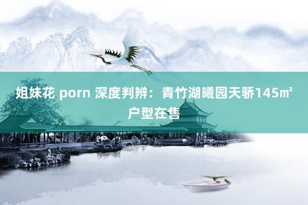 姐妹花 porn 深度判辨：青竹湖曦园天骄145㎡户型在售