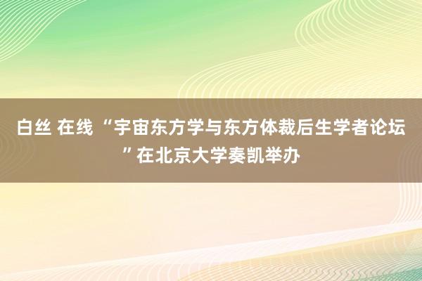 白丝 在线 “宇宙东方学与东方体裁后生学者论坛”在北京大学奏凯举办