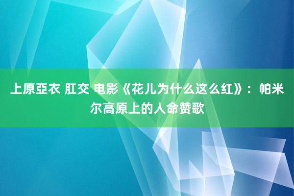 上原亞衣 肛交 电影《花儿为什么这么红》：帕米尔高原上的人命赞歌