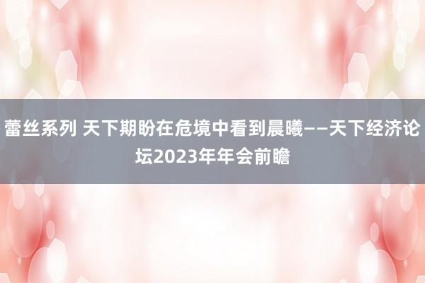 蕾丝系列 天下期盼在危境中看到晨曦——天下经济论坛2023年年会前瞻