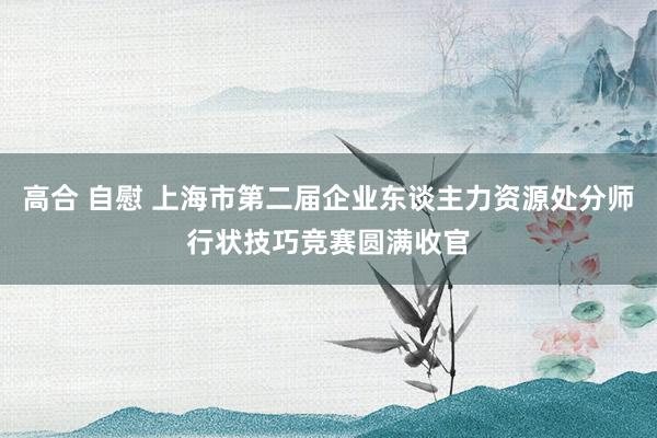 高合 自慰 上海市第二届企业东谈主力资源处分师行状技巧竞赛圆满收官