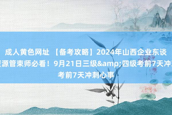 成人黄色网址 【备考攻略】2024年山西企业东谈主力资源管束师必看！9月21日三级&四级考前7天冲刺心事