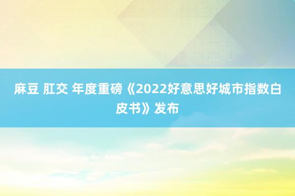 麻豆 肛交 年度重磅《2022好意思好城市指数白皮书》发布